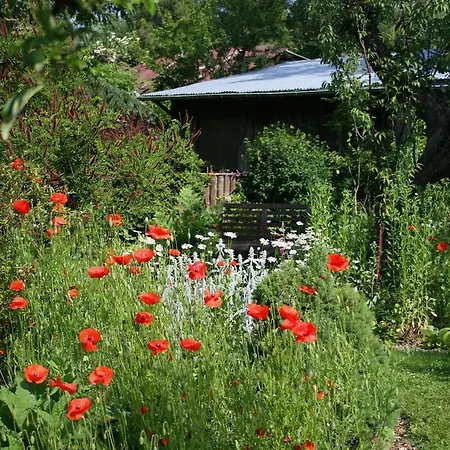 Panda La Sylve Tenneville