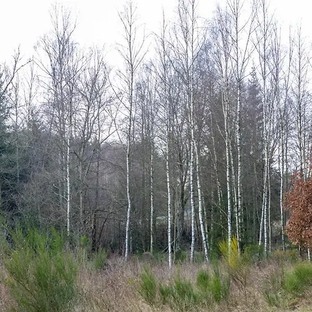 Casa vacanze Panda La Sylve *