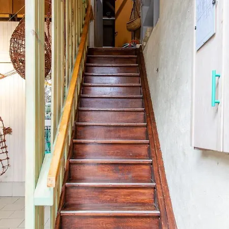 Panda La Sylve * Tenneville