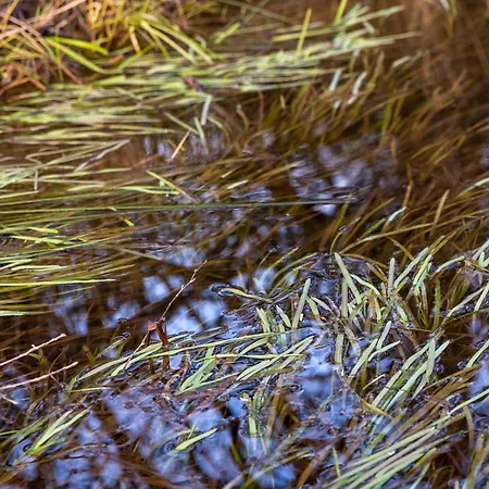 Panda La Sylve Casa vacanze