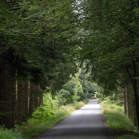 Panda La Sylve Casa vacanze Tenneville