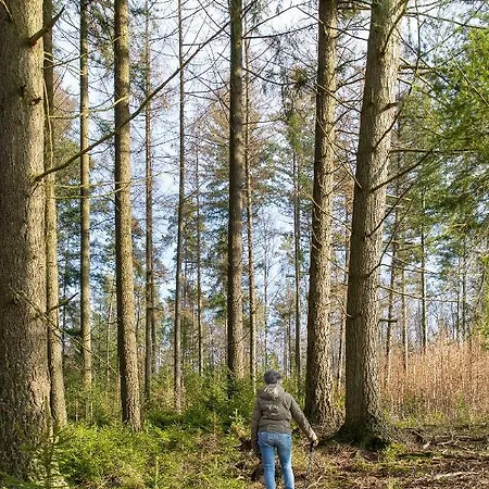 Casa vacanze Panda La Sylve *