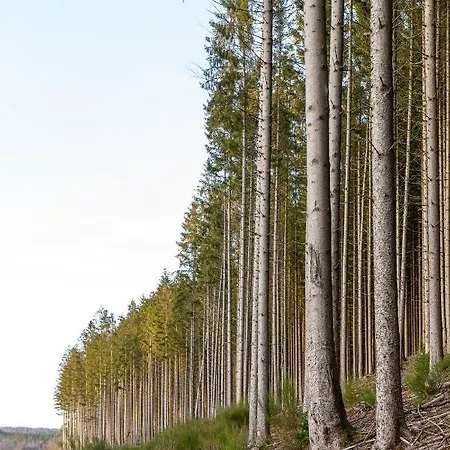 Casa vacanze Panda La Sylve Tenneville