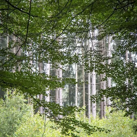 Ferienhaus Panda La Sylve Tenneville