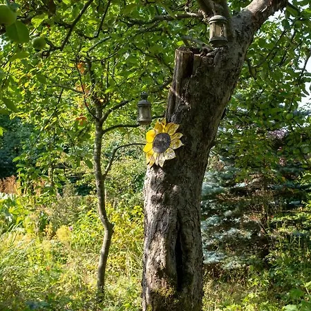 Casa vacanze Panda La Sylve