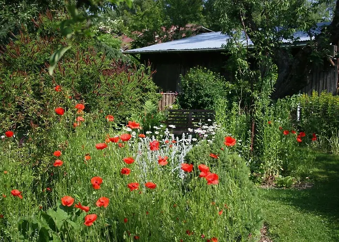 Panda La Sylve טנוויל